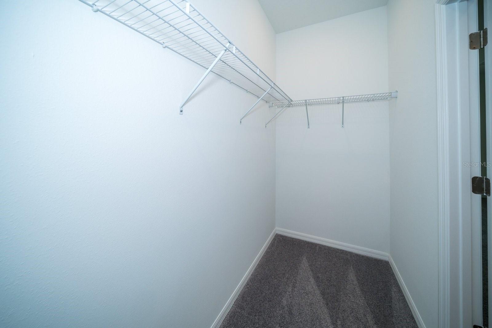 32134 POWDERPUFF MIMOSA DR, SAN ANTONIO, FL, 33576