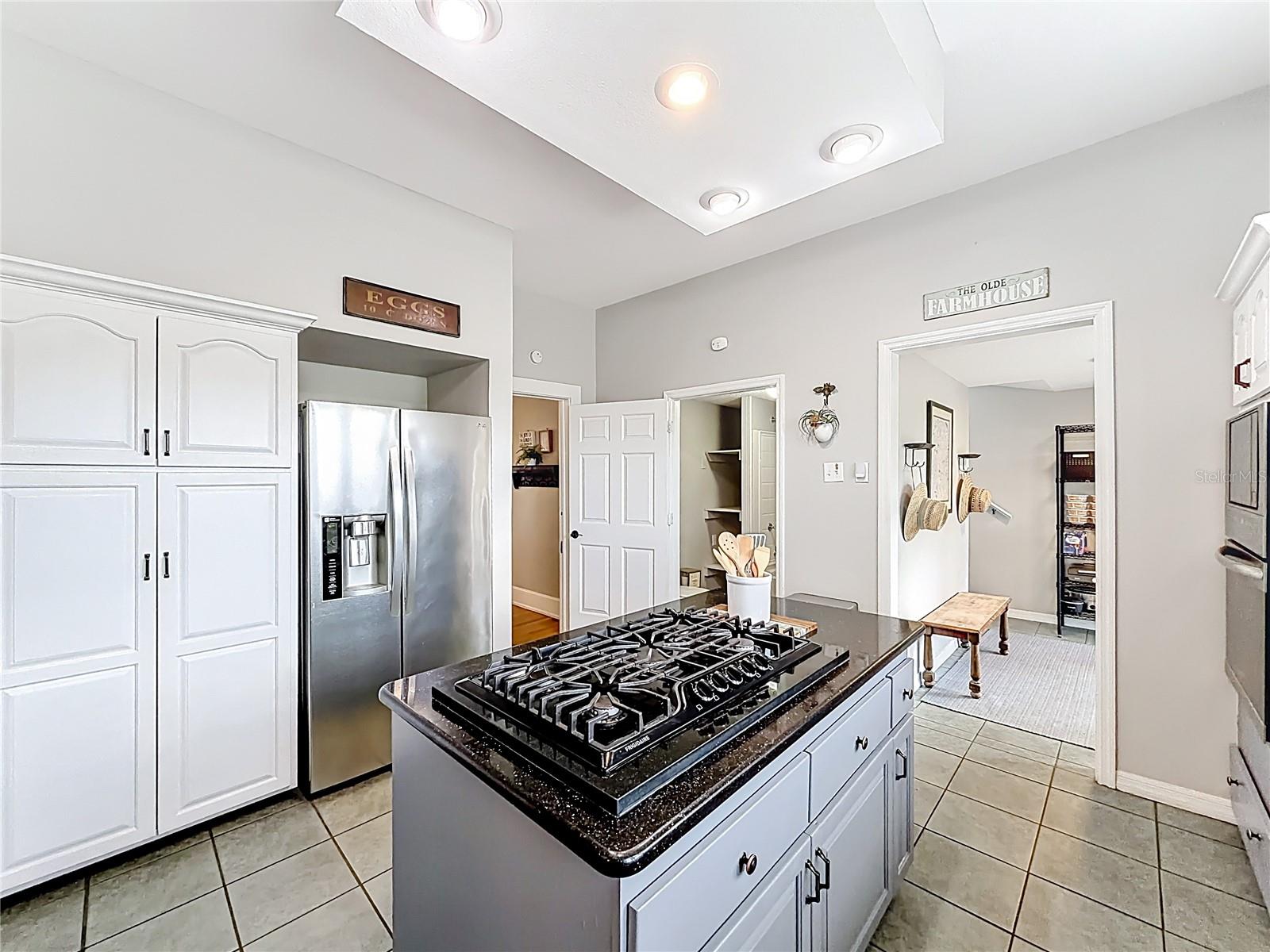 311 S CENTRAL AVE, UMATILLA, FL, 32784