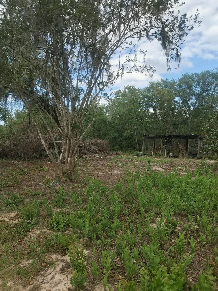 20881 SE 142ND PL, UMATILLA, FL, 32784