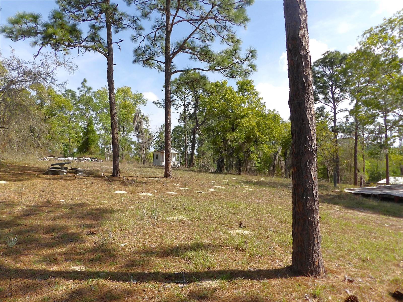 2515 E HAMPSHIRE ST, INVERNESS, FL, 34453