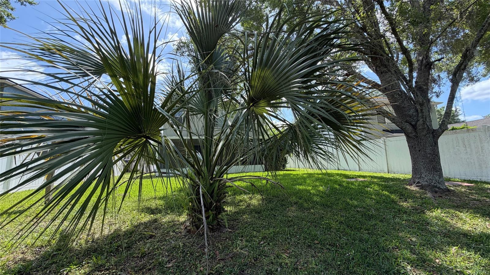 12701 SAULSTON PL, HUDSON, FL, 34669