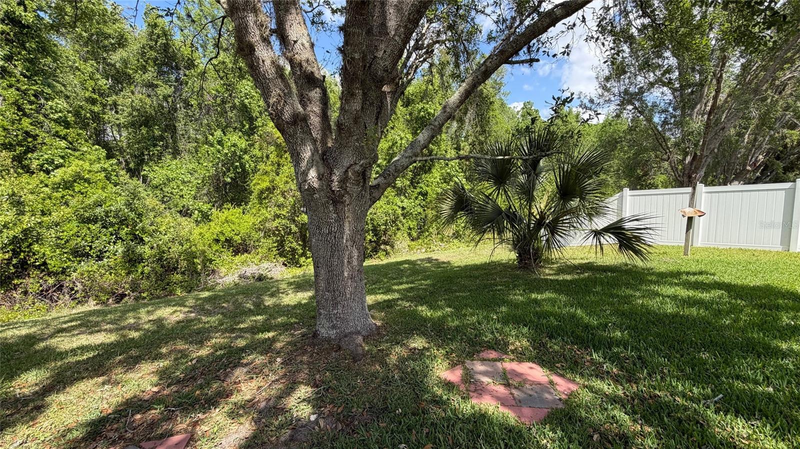 12701 SAULSTON PL, HUDSON, FL, 34669