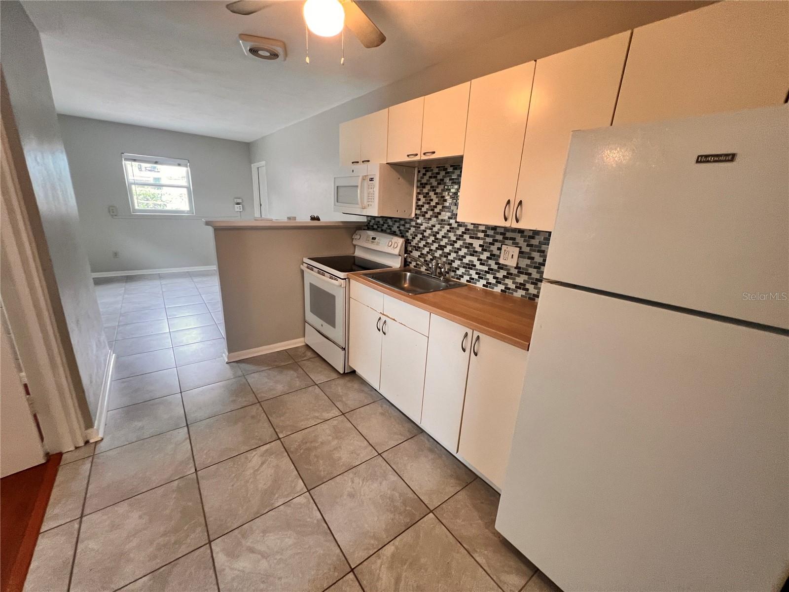 1227 MINNESOTA ST, ORLANDO, FL, 32803