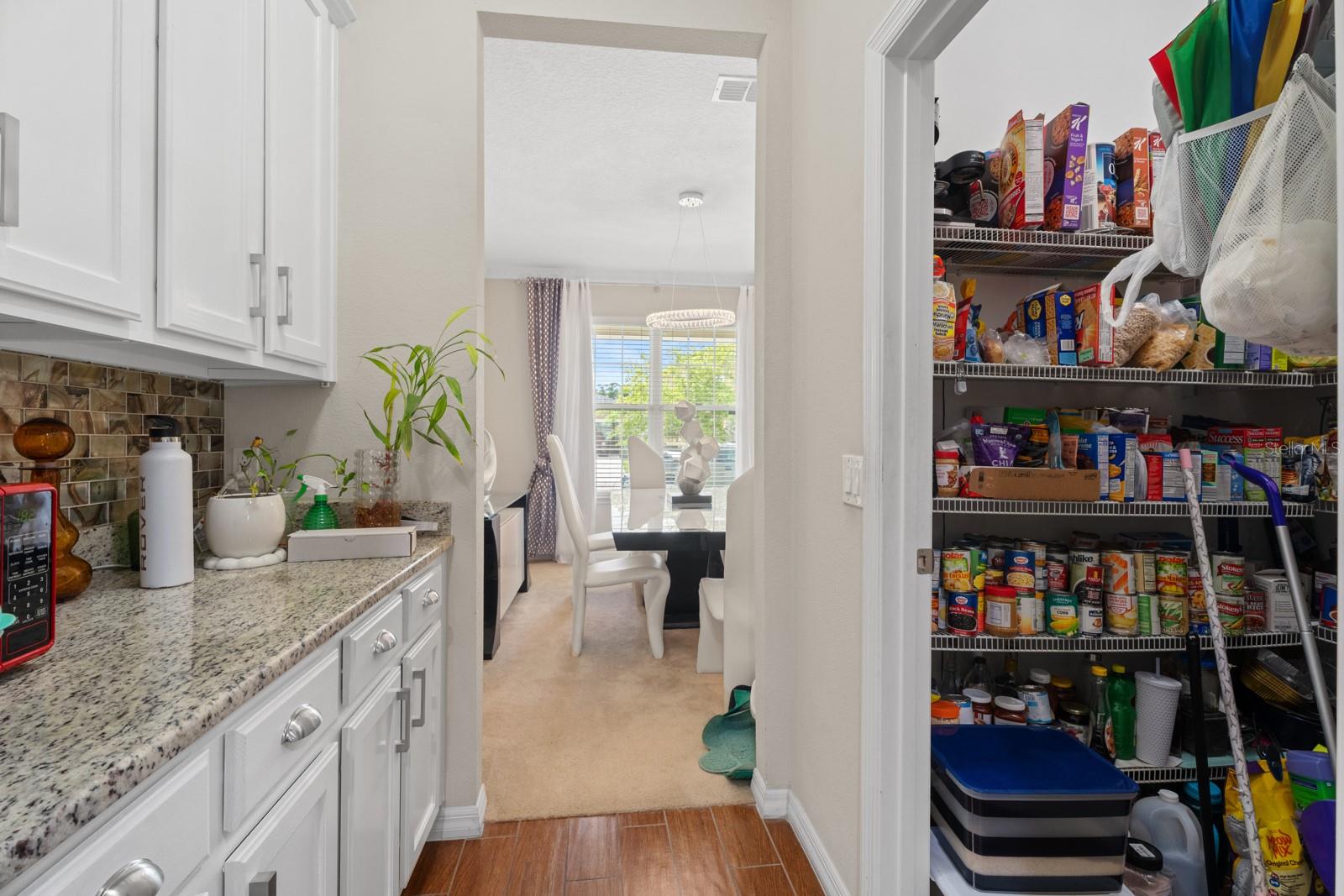 2987 BOATING BLVD, KISSIMMEE, FL, 34746