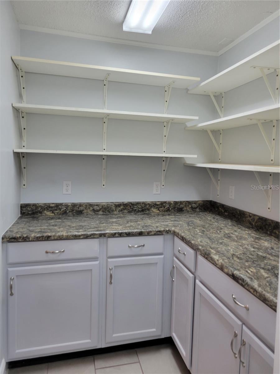 807 MCLAIN CT, TAVARES, FL, 32778