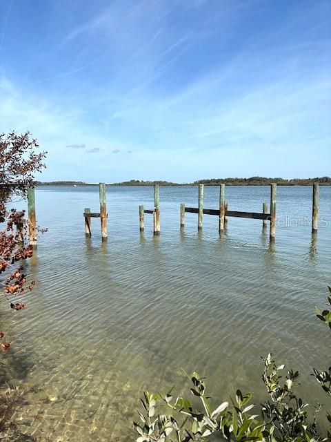 185 JONES FISH CAMP RD, EDGEWATER, FL, 32141