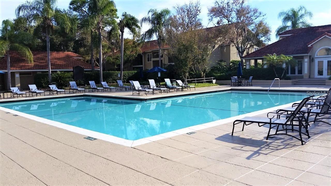 4037 CROCKERS LAKE BLVD #25, SARASOTA, FL, 34238