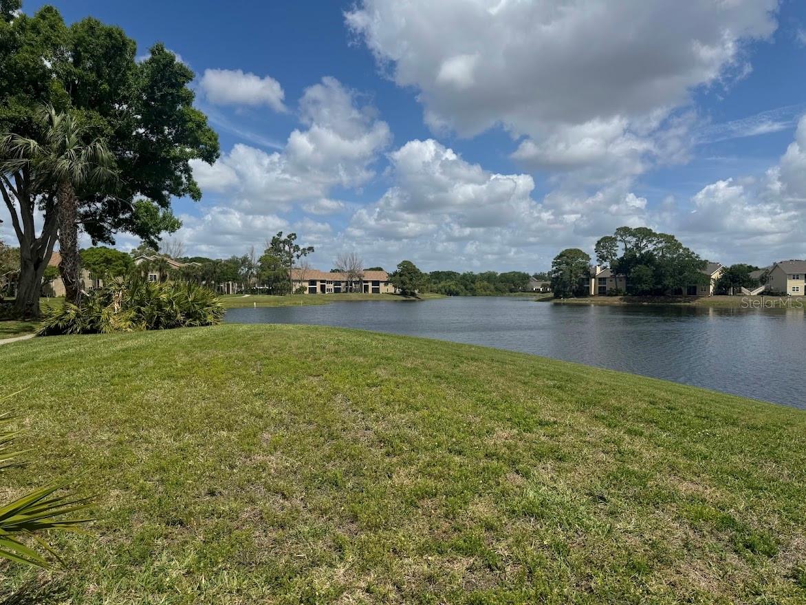 4037 CROCKERS LAKE BLVD #25, SARASOTA, FL, 34238