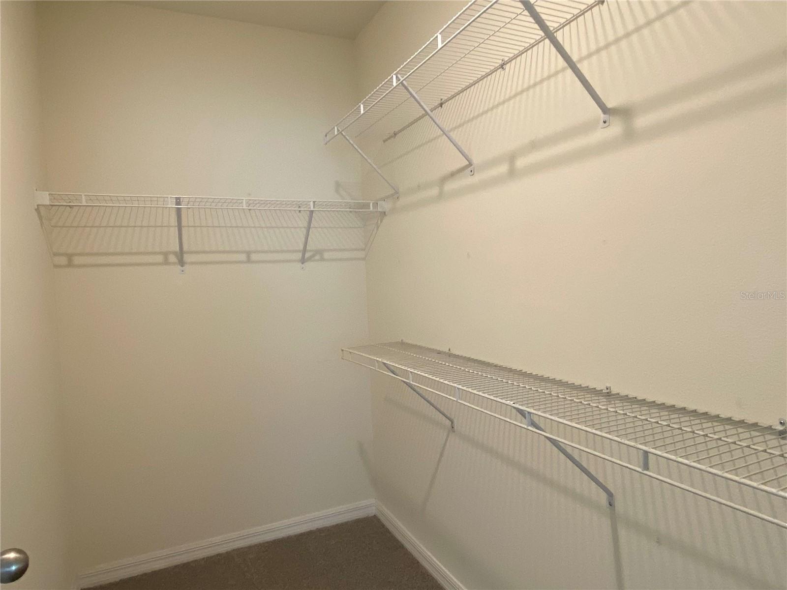 33801 JASMINE STAR LOOP, WESLEY CHAPEL, FL, 33543