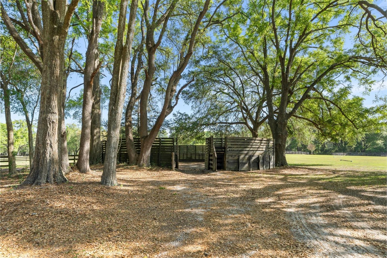 16525 SW 5TH PL, NEWBERRY, FL, 32669