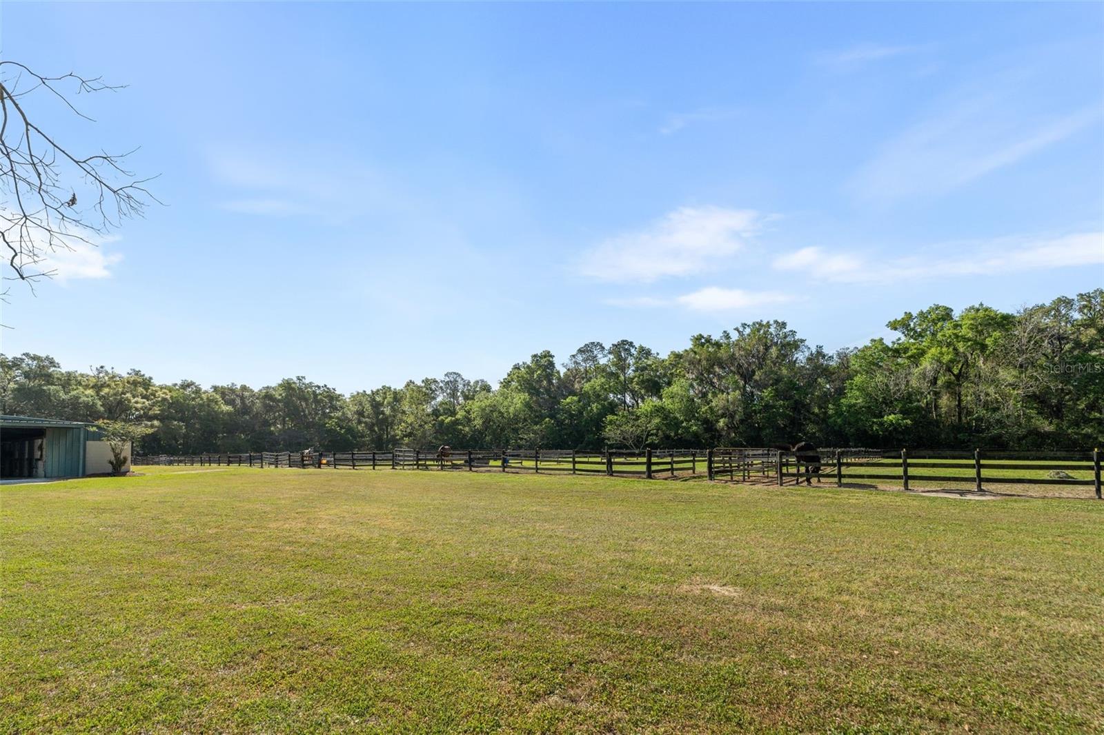 16525 SW 5TH PL, NEWBERRY, FL, 32669