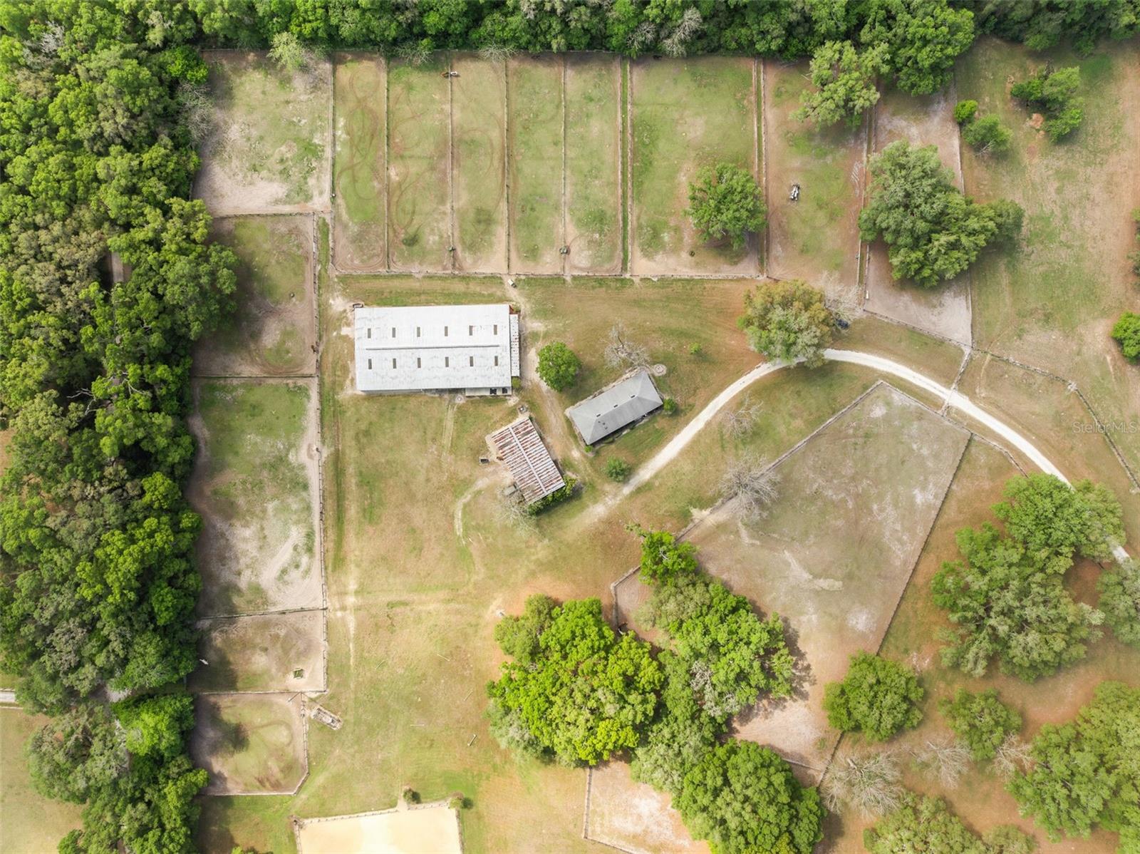16525 SW 5TH PL, NEWBERRY, FL, 32669