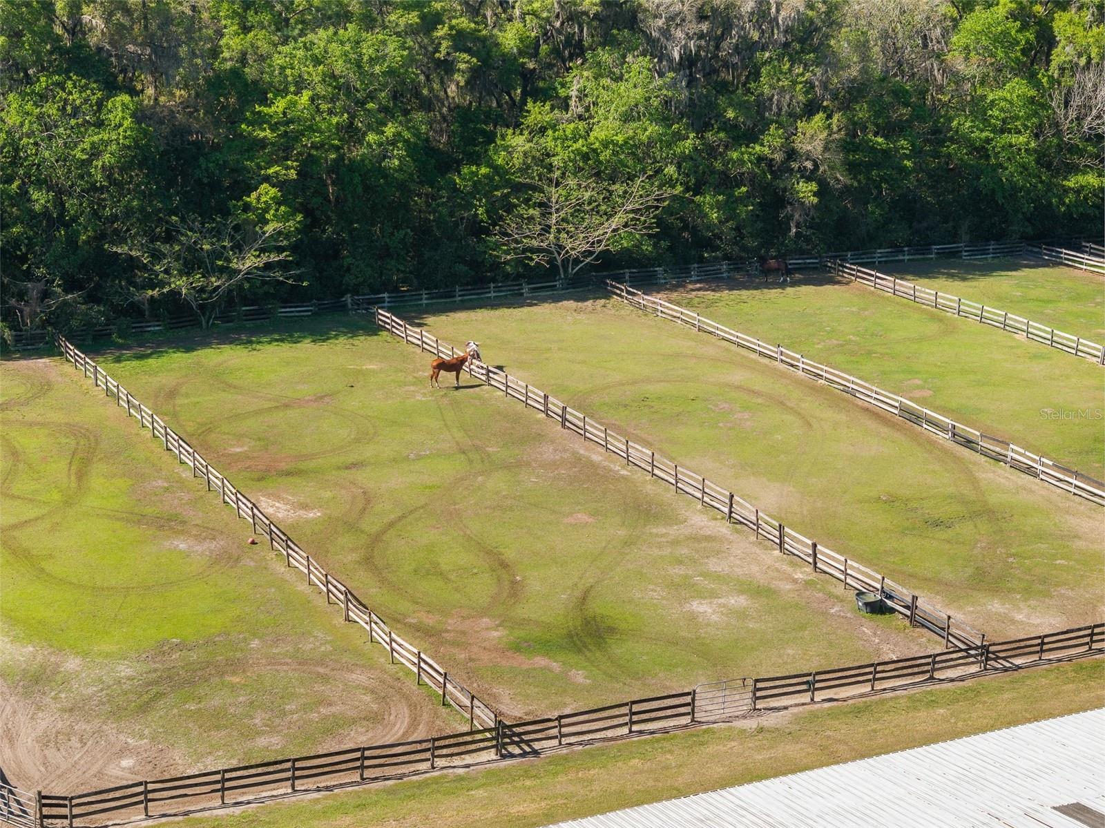 16525 SW 5TH PL, NEWBERRY, FL, 32669