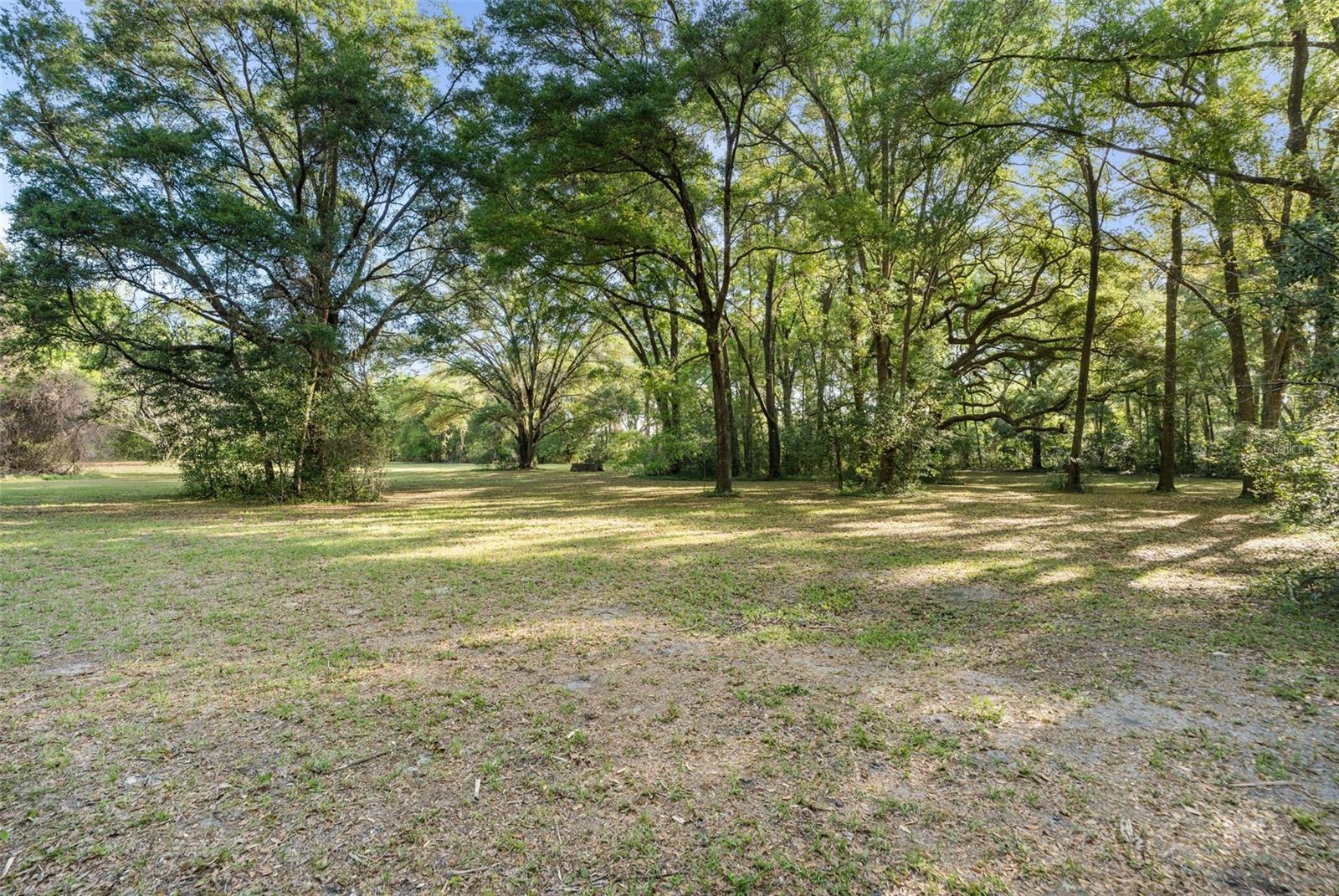 16525 SW 5TH PL, NEWBERRY, FL, 32669