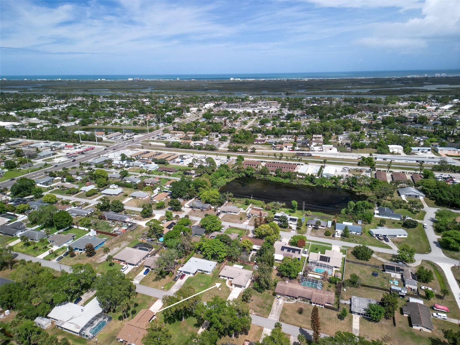 1915 KUMQUAT DR, EDGEWATER, FL, 32141