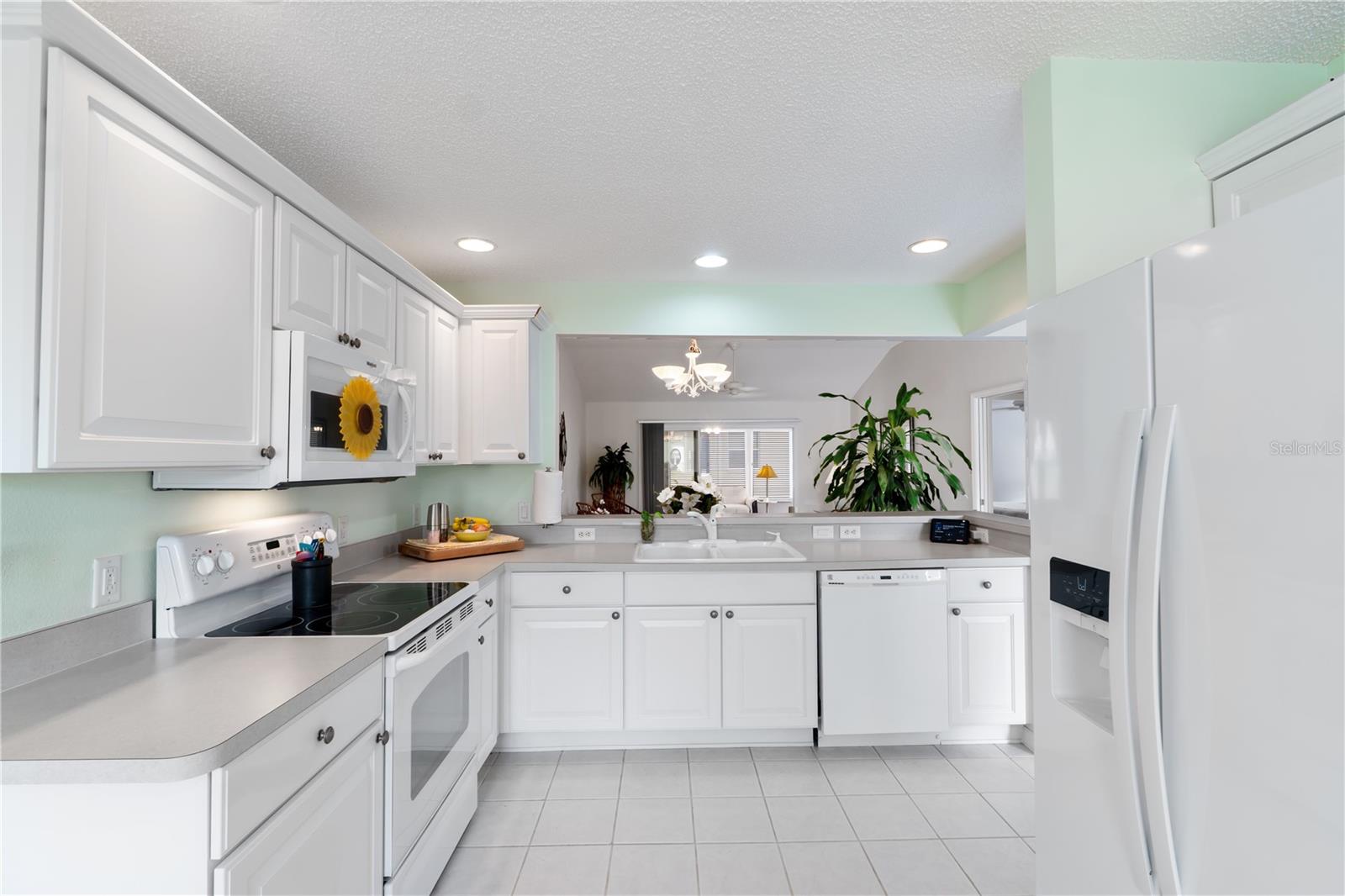 403 MCLEOD LN, THE VILLAGES, FL, 32162