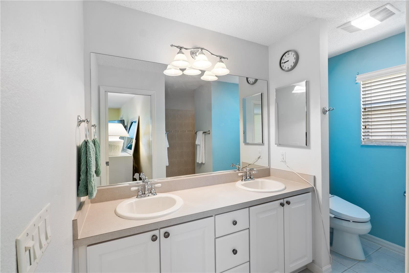 403 MCLEOD LN, THE VILLAGES, FL, 32162