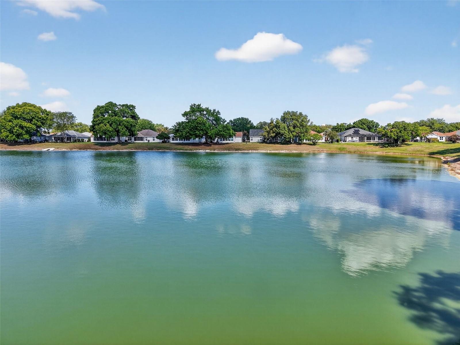 930 CAMINO DEL REY DR, THE VILLAGES, FL, 32159
