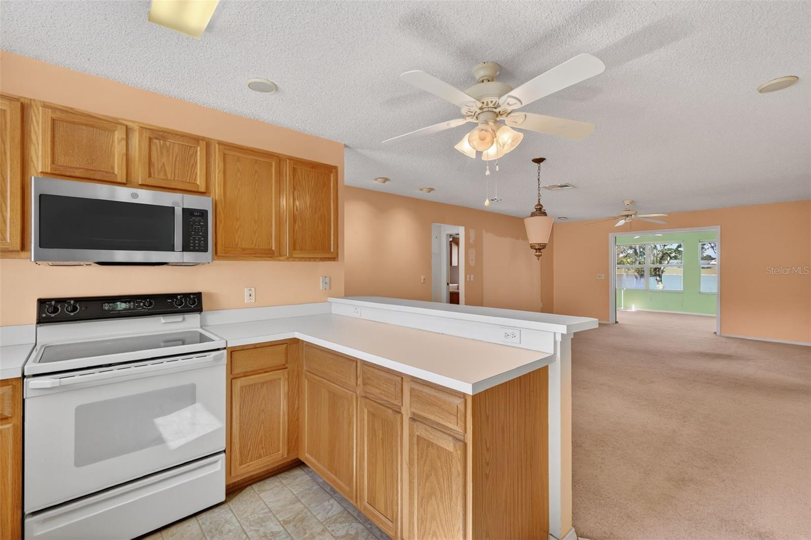 930 CAMINO DEL REY DR, THE VILLAGES, FL, 32159