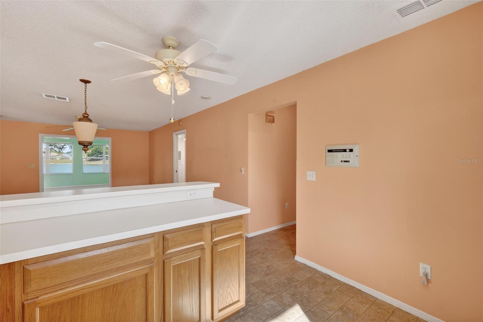 930 CAMINO DEL REY DR, THE VILLAGES, FL, 32159