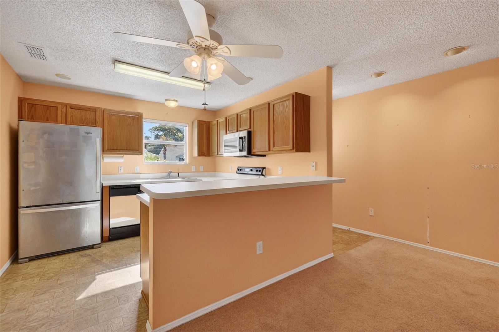930 CAMINO DEL REY DR, THE VILLAGES, FL, 32159