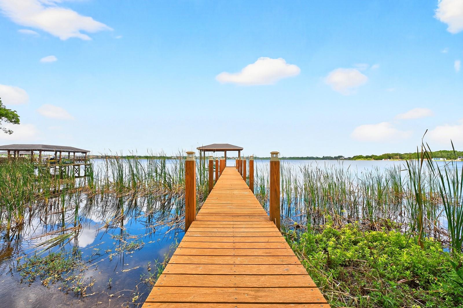 14255 HAMPSHIRE BAY CIR, WINTER GARDEN, FL, 34787
