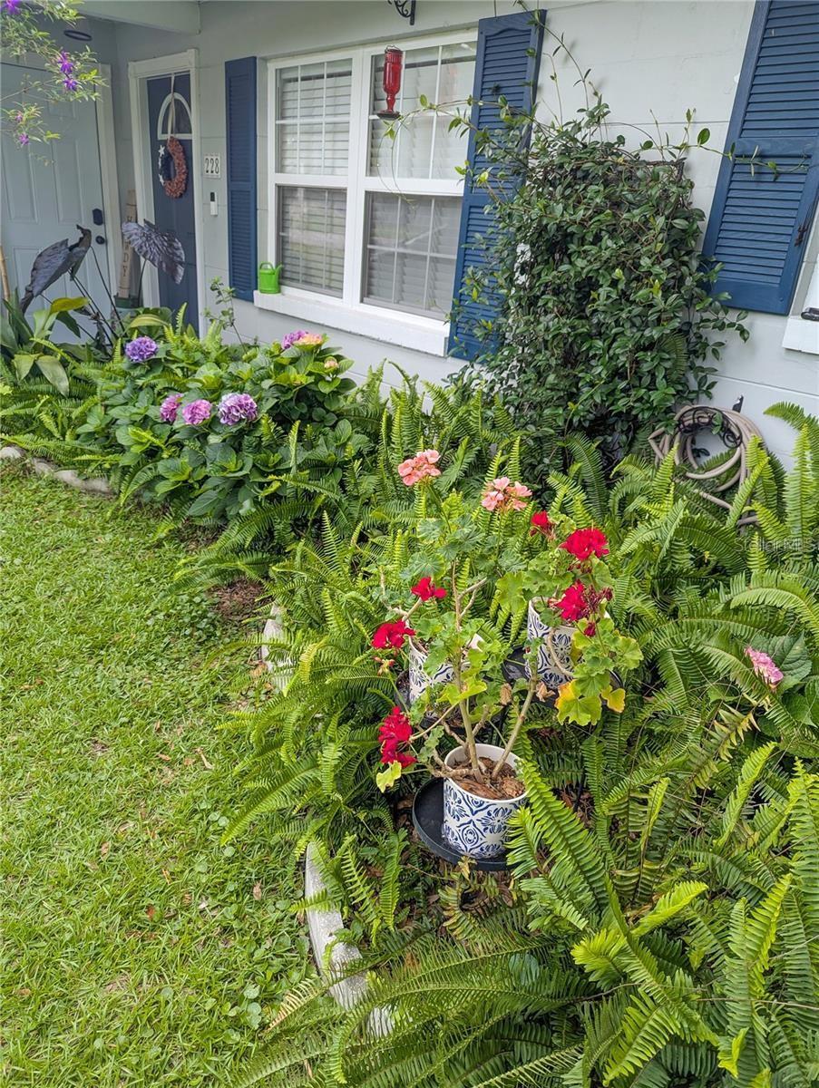 228 SE OAK HILL ST, LAKE CITY, FL, 32025
