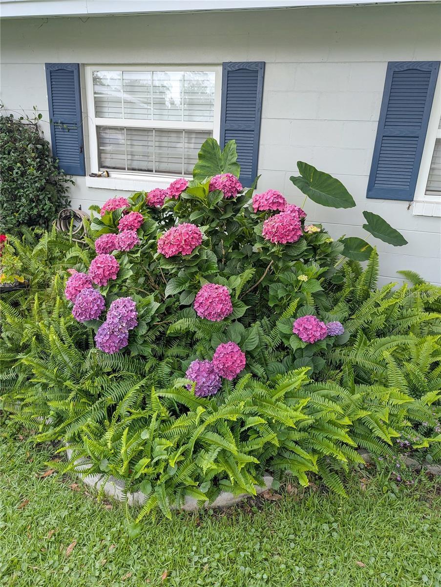 228 SE OAK HILL ST, LAKE CITY, FL, 32025