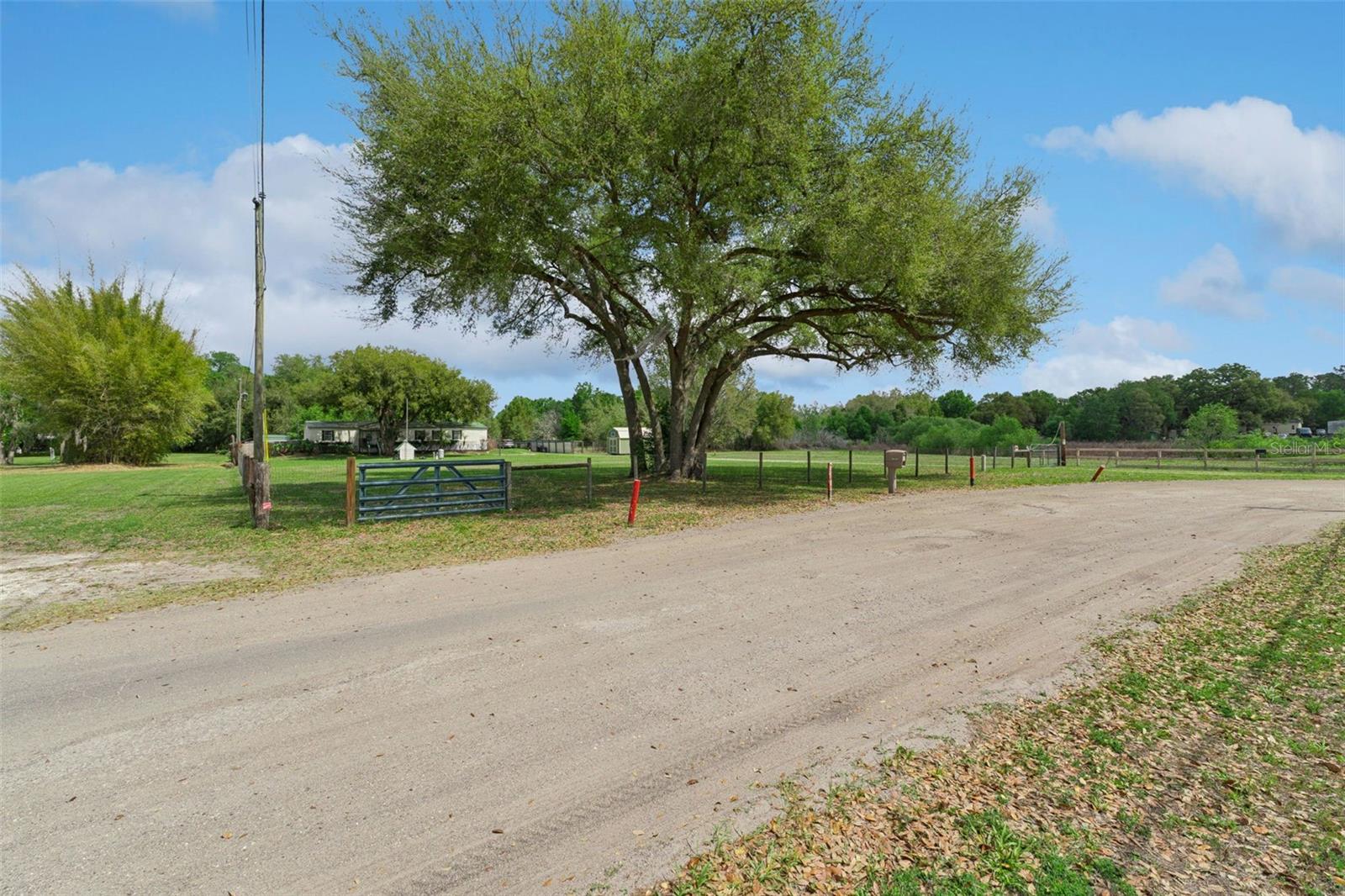 33601 TAMMY LN, WESLEY CHAPEL, FL, 33543