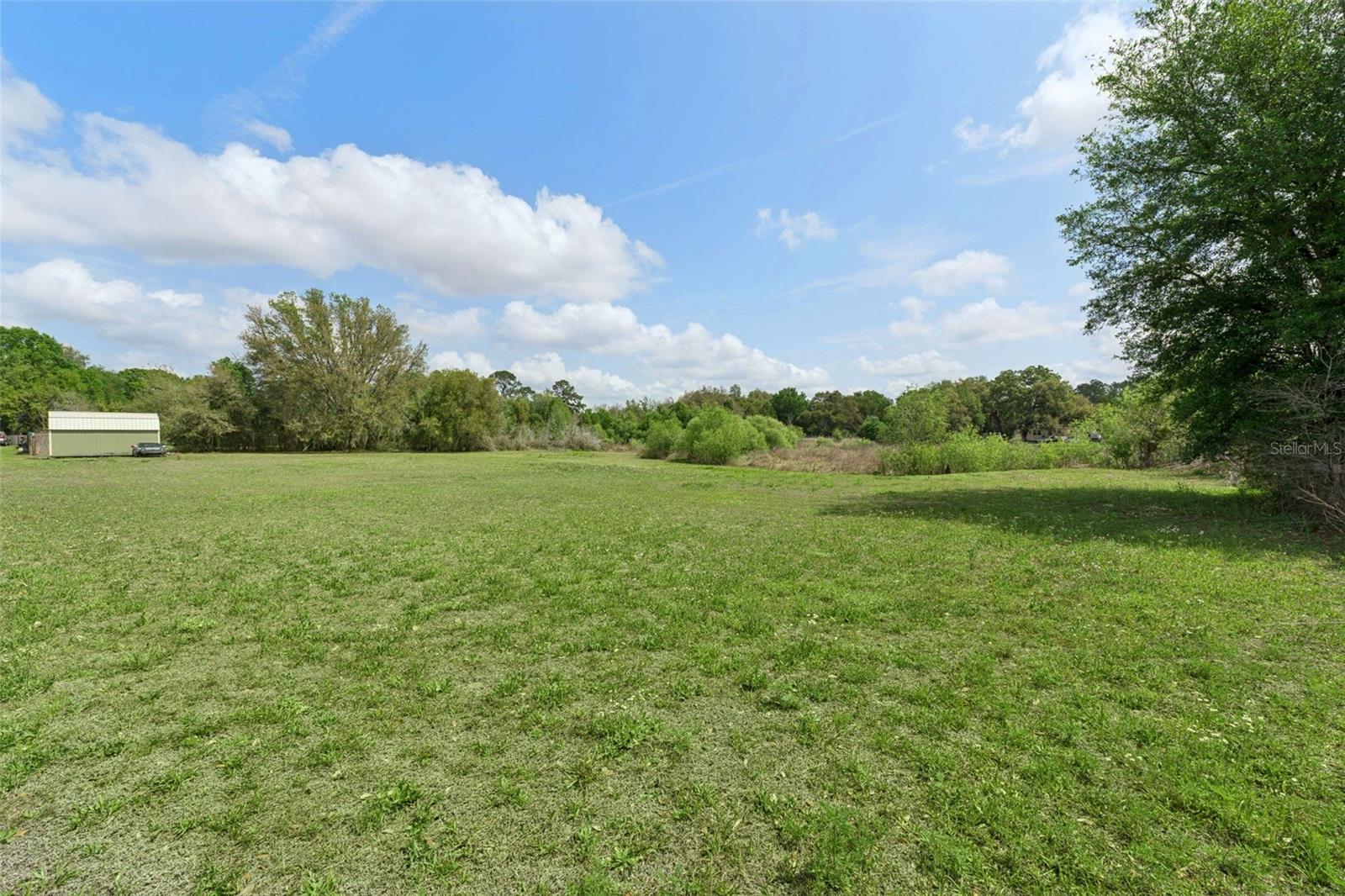 33601 TAMMY LN, WESLEY CHAPEL, FL, 33543