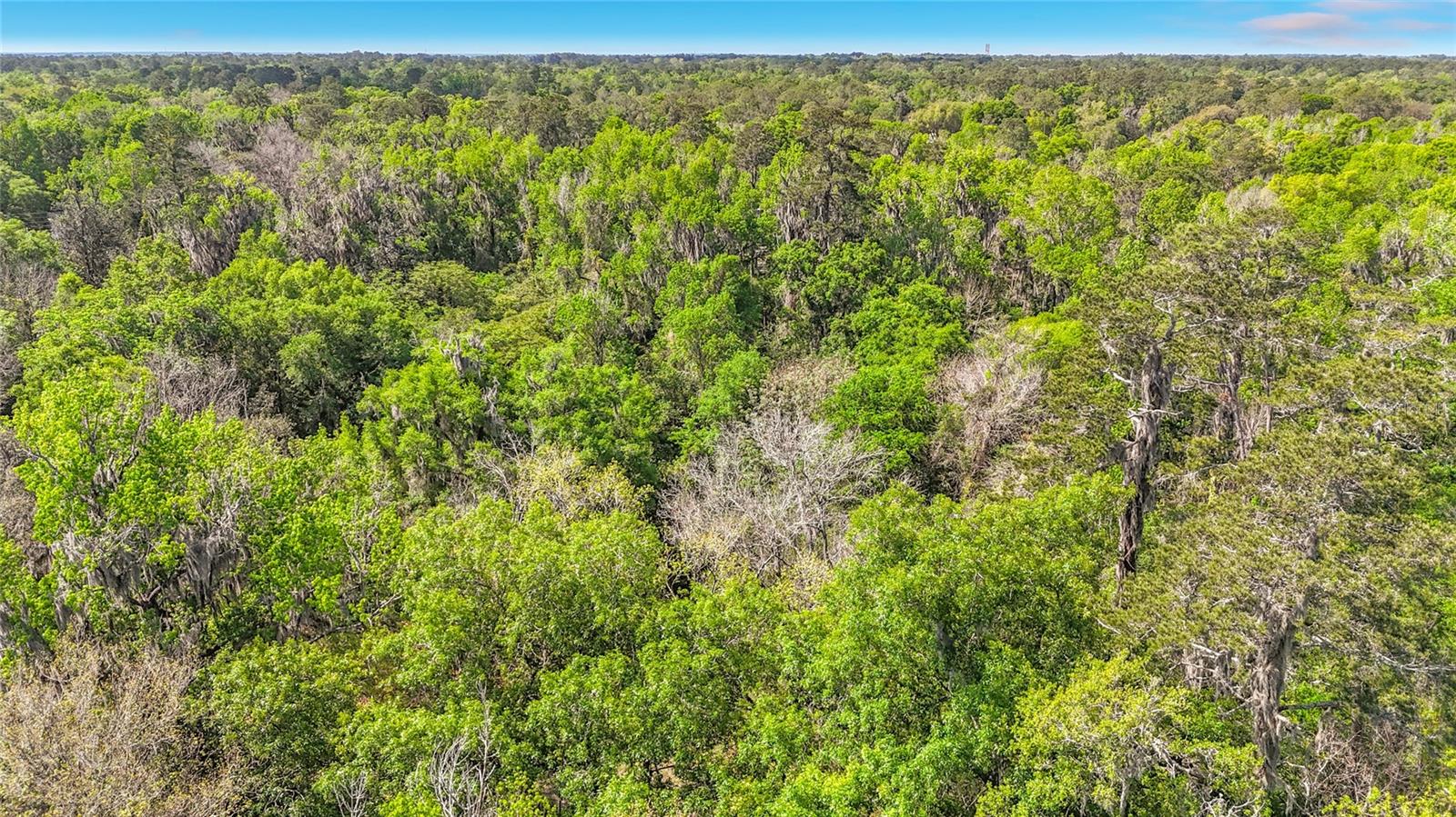 Lot 001 NW 37TH DR, GAINESVILLE, FL, 32606