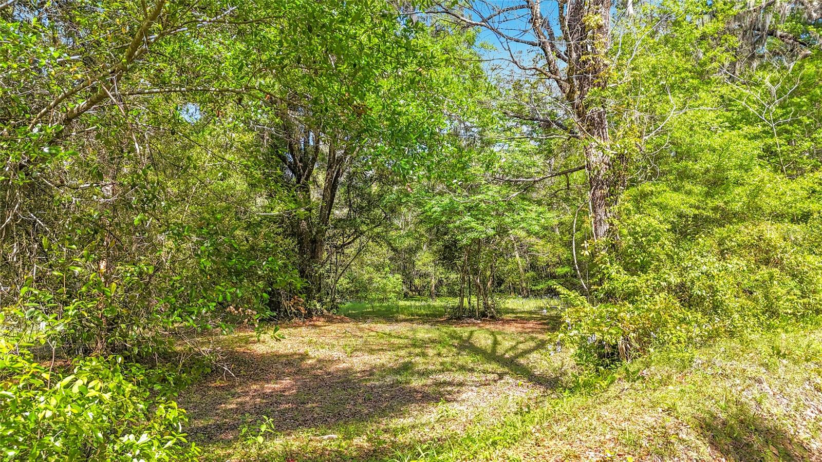 Lot 001 NW 37TH DR, GAINESVILLE, FL, 32606