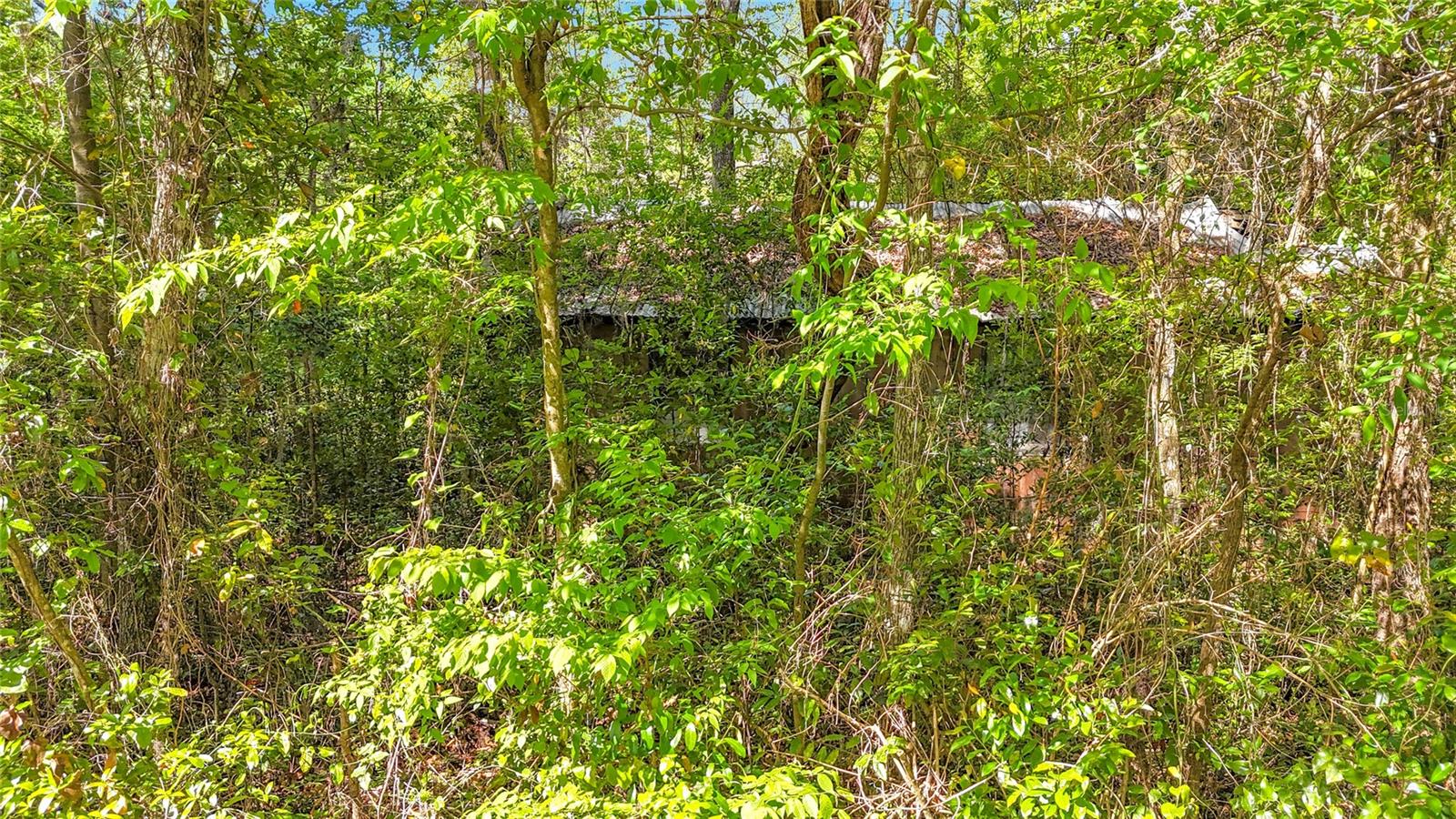 Lot 001 NW 37TH DR, GAINESVILLE, FL, 32606