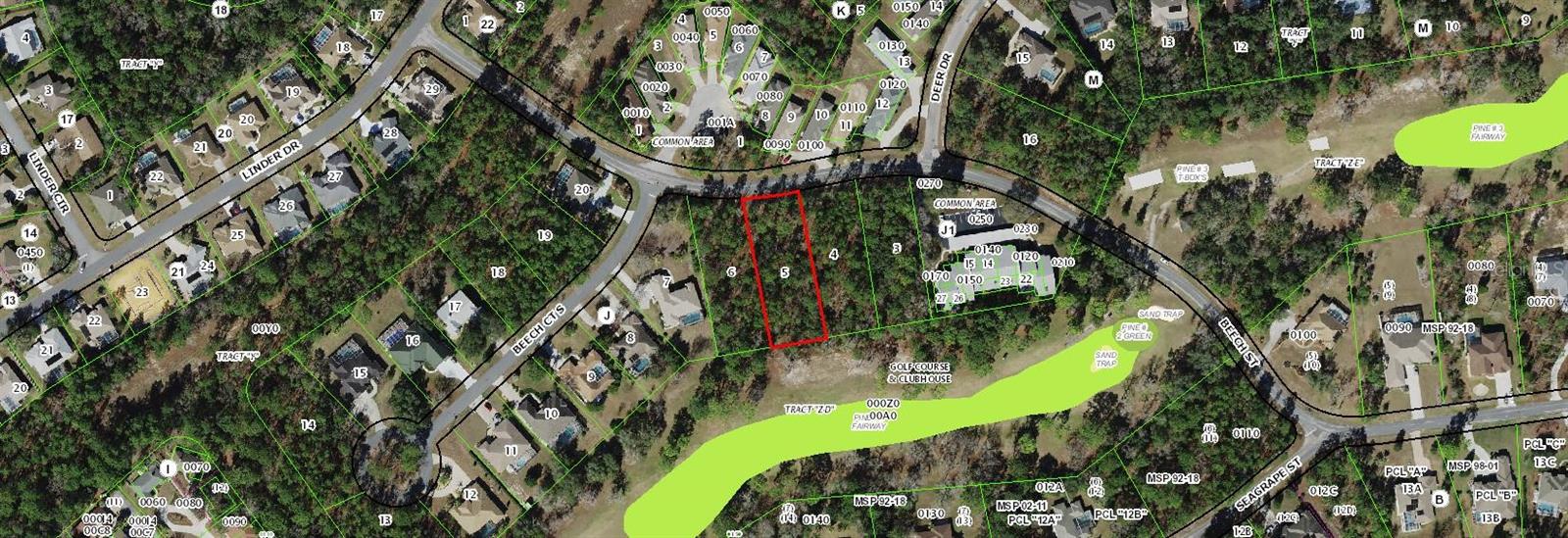 19 BEECH ST, HOMOSASSA, FL, 34446