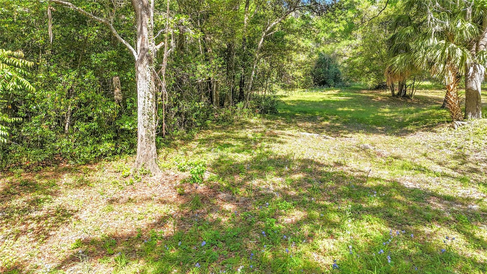 Lot 002 NW 37TH DR, GAINESVILLE, FL, 32606