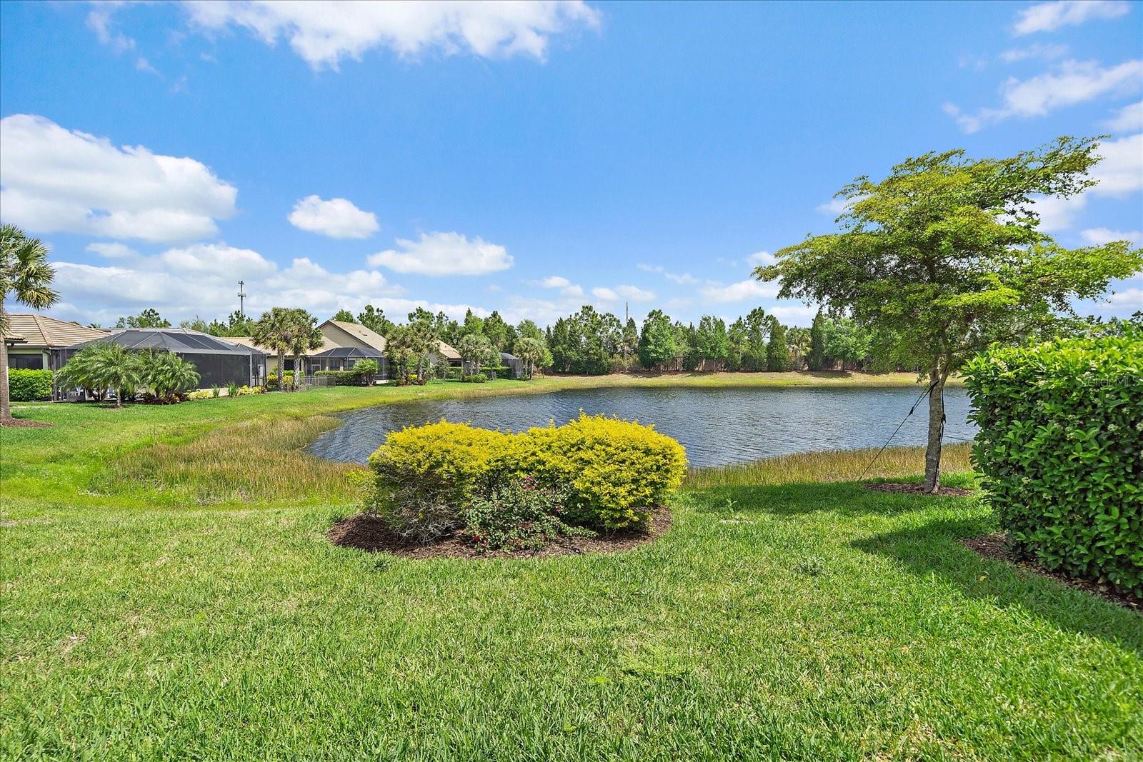 6713 CHESTER TRL, LAKEWOOD RANCH, FL, 34202