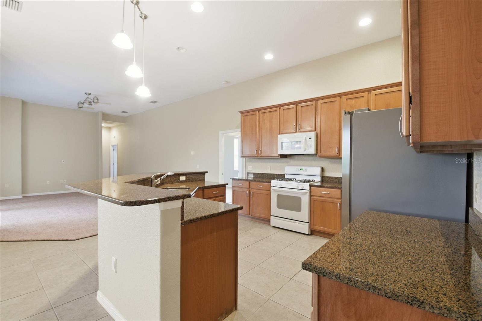 12408 NATUREVIEW CIR, BRADENTON, FL, 34212