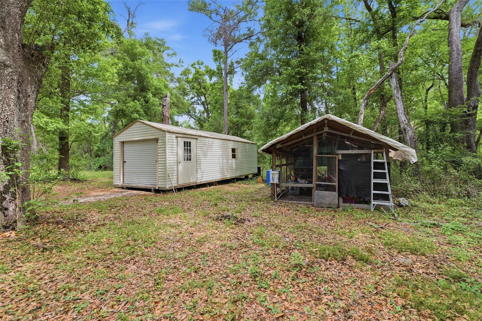 Rear Exterior Shed and Storage