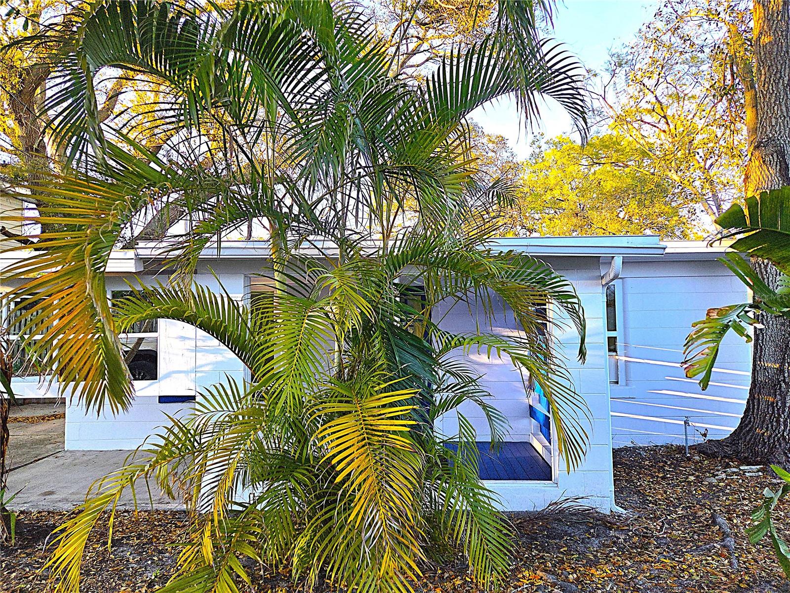 360 5TH AVE NW, LARGO, FL, 33770