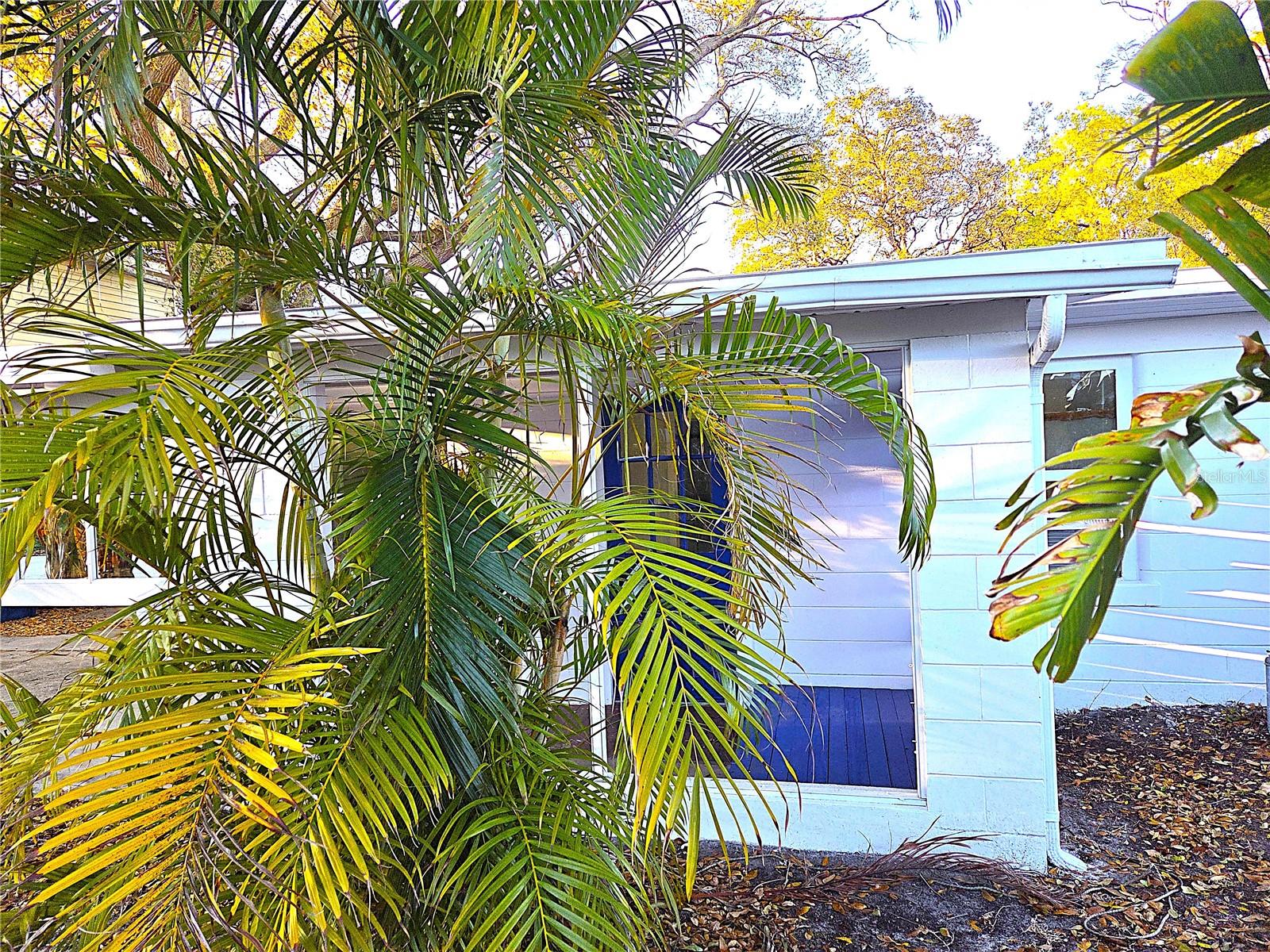 360 5TH AVE NW, LARGO, FL, 33770