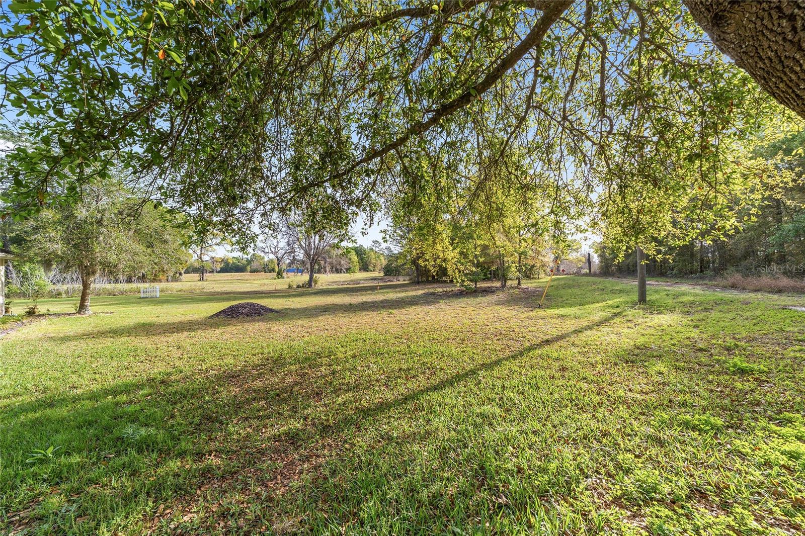 0 NE 9TH ST, WILLISTON, FL, 32696