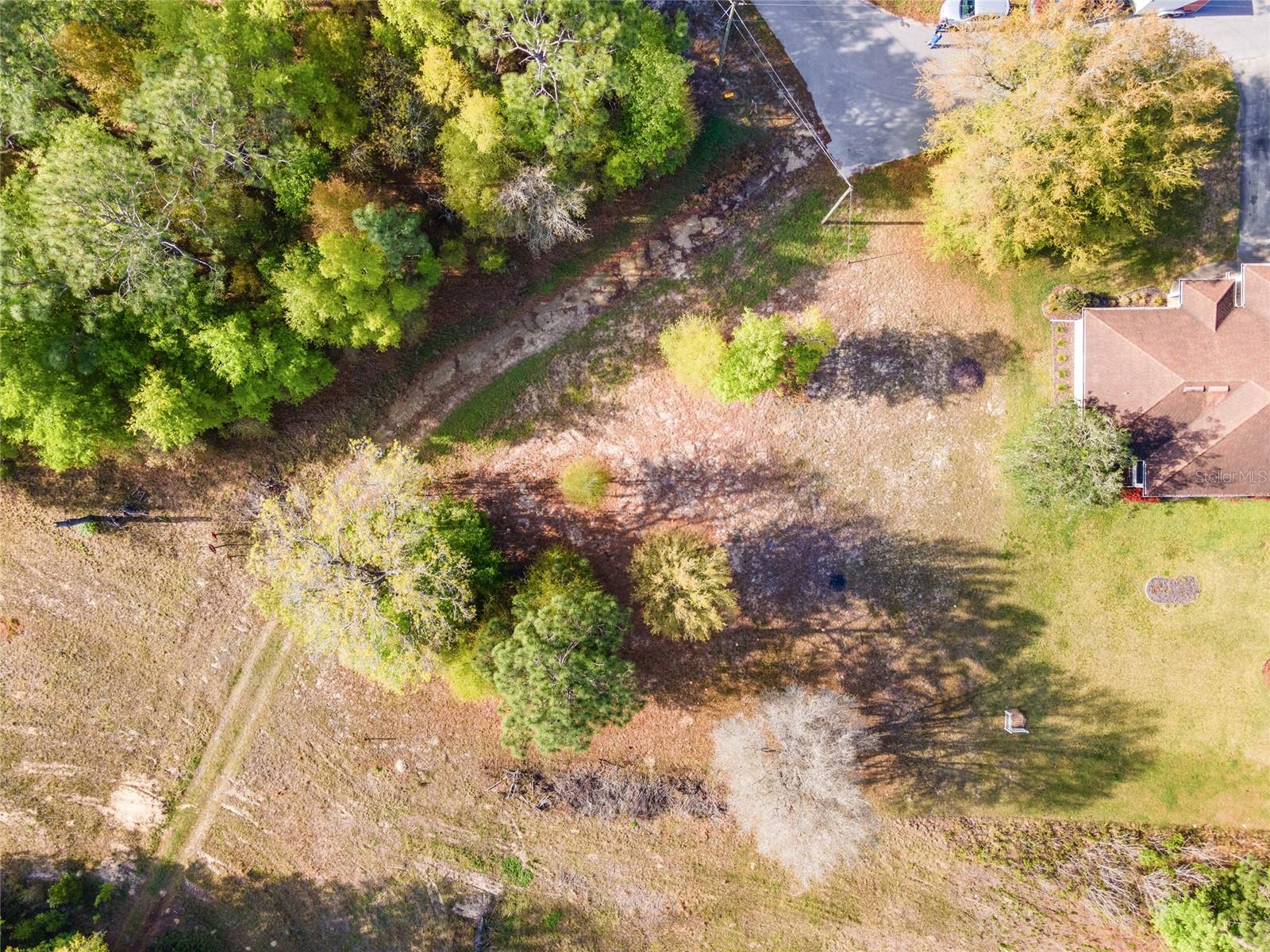0 NE 9TH ST, WILLISTON, FL, 32696