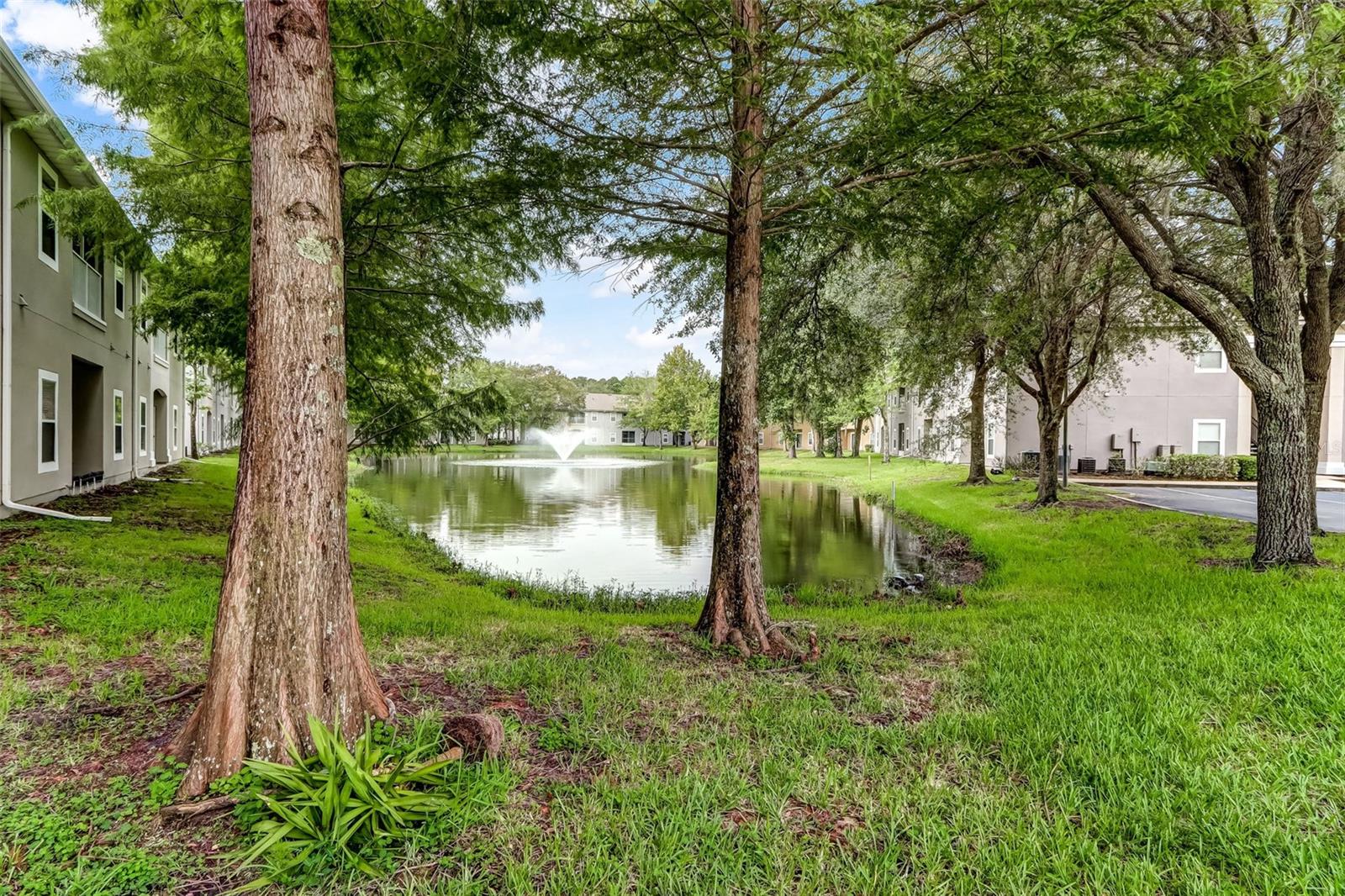 6075 MAGGIES CIR #113, JACKSONVILLE, FL, 32244