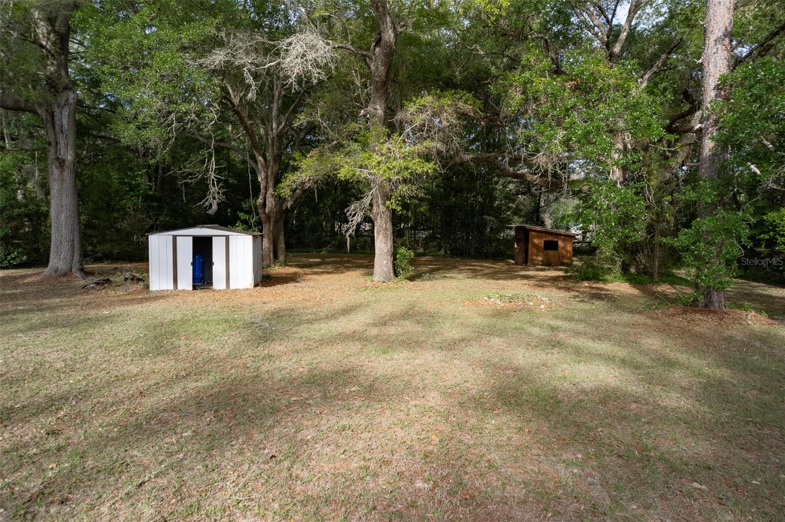 2590 NE 167TH AVE, WILLISTON, FL, 32696
