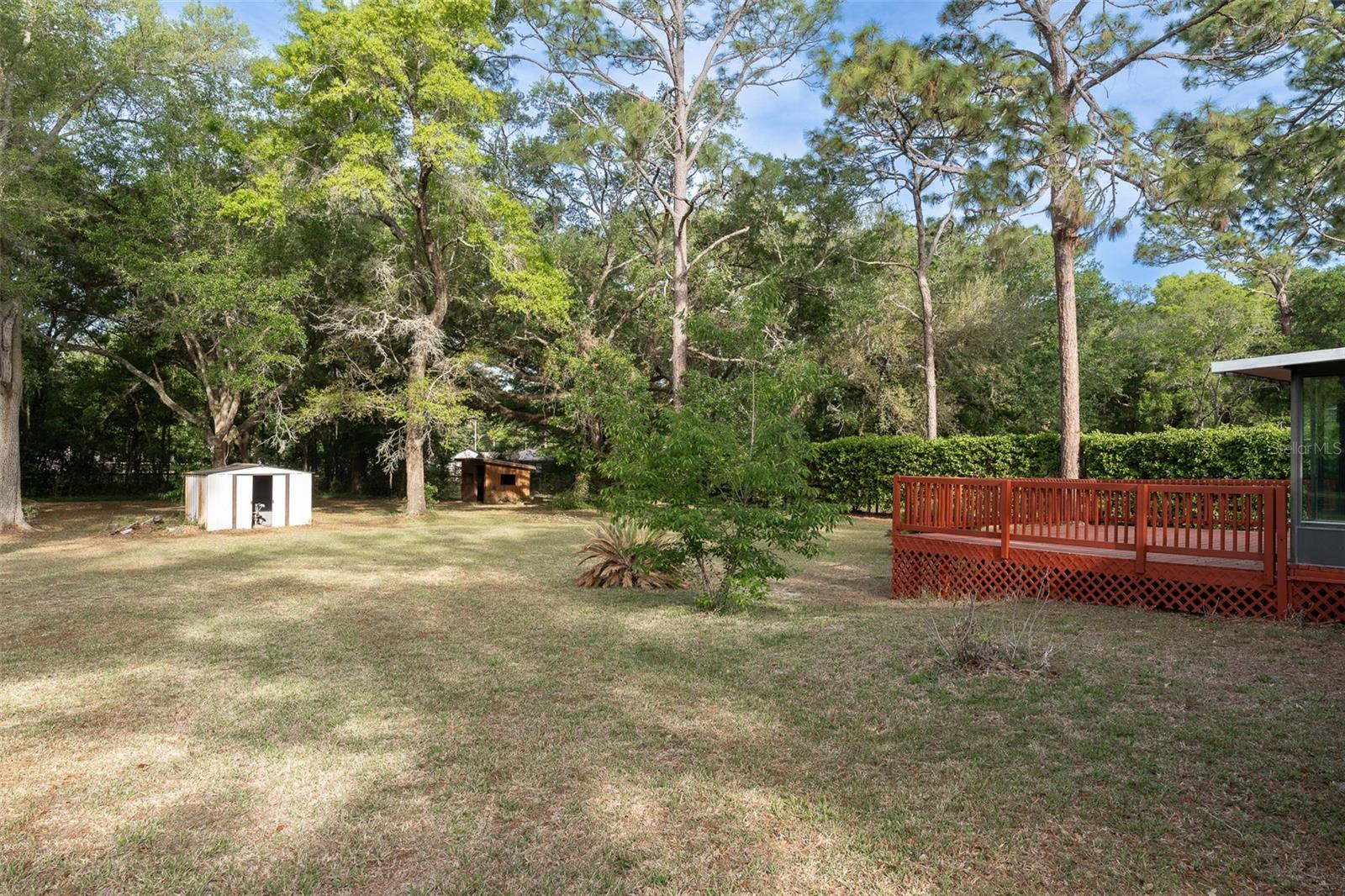 2590 NE 167TH AVE, WILLISTON, FL, 32696