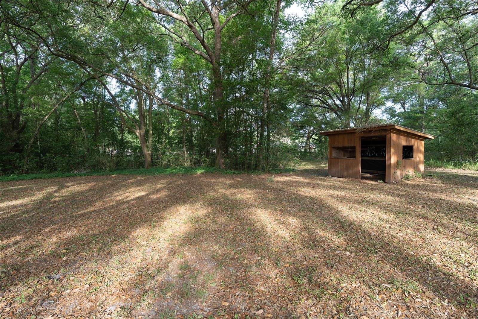 2590 NE 167TH AVE, WILLISTON, FL, 32696