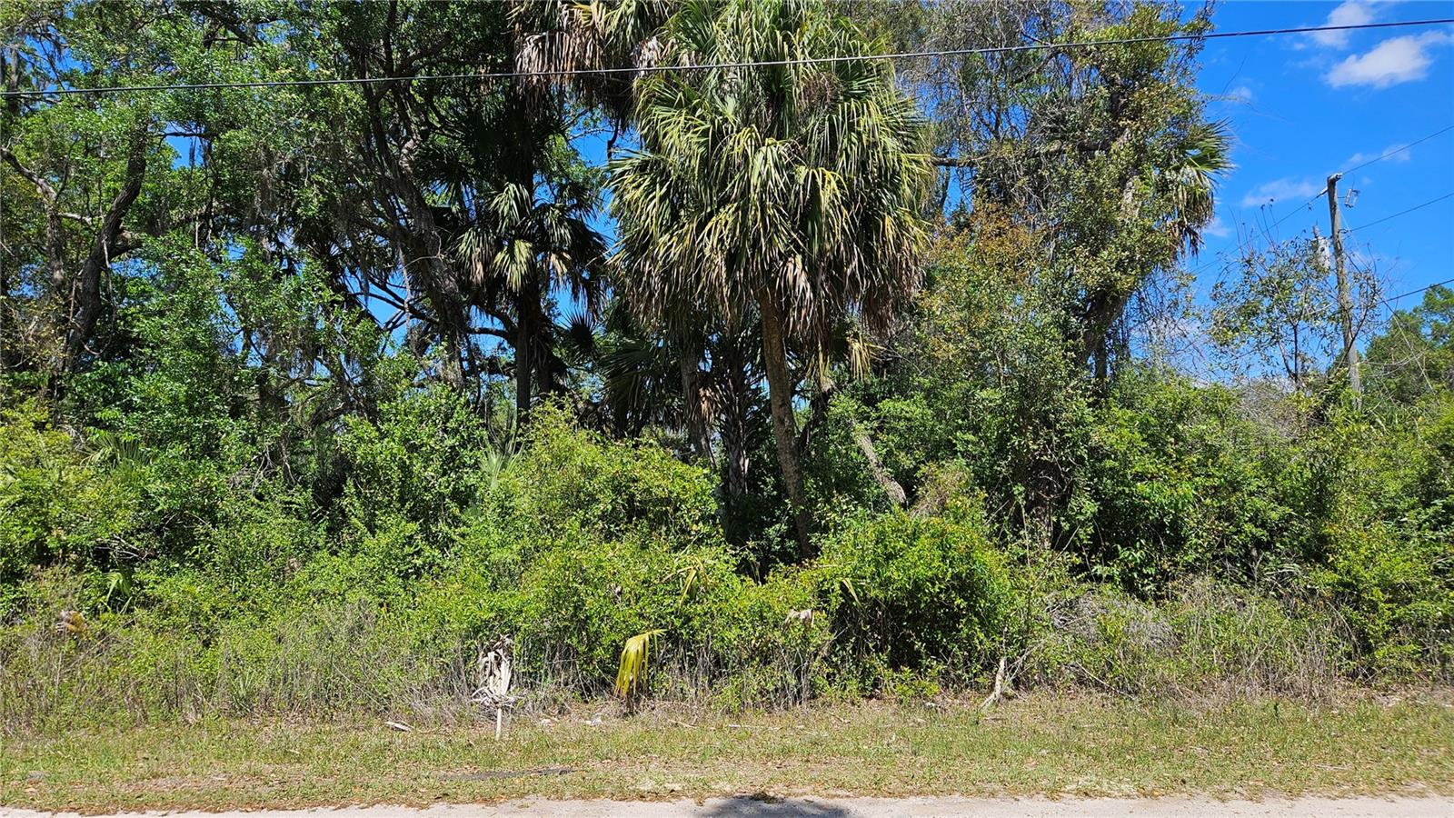 11201 W GEM ST, CRYSTAL RIVER, FL, 34428