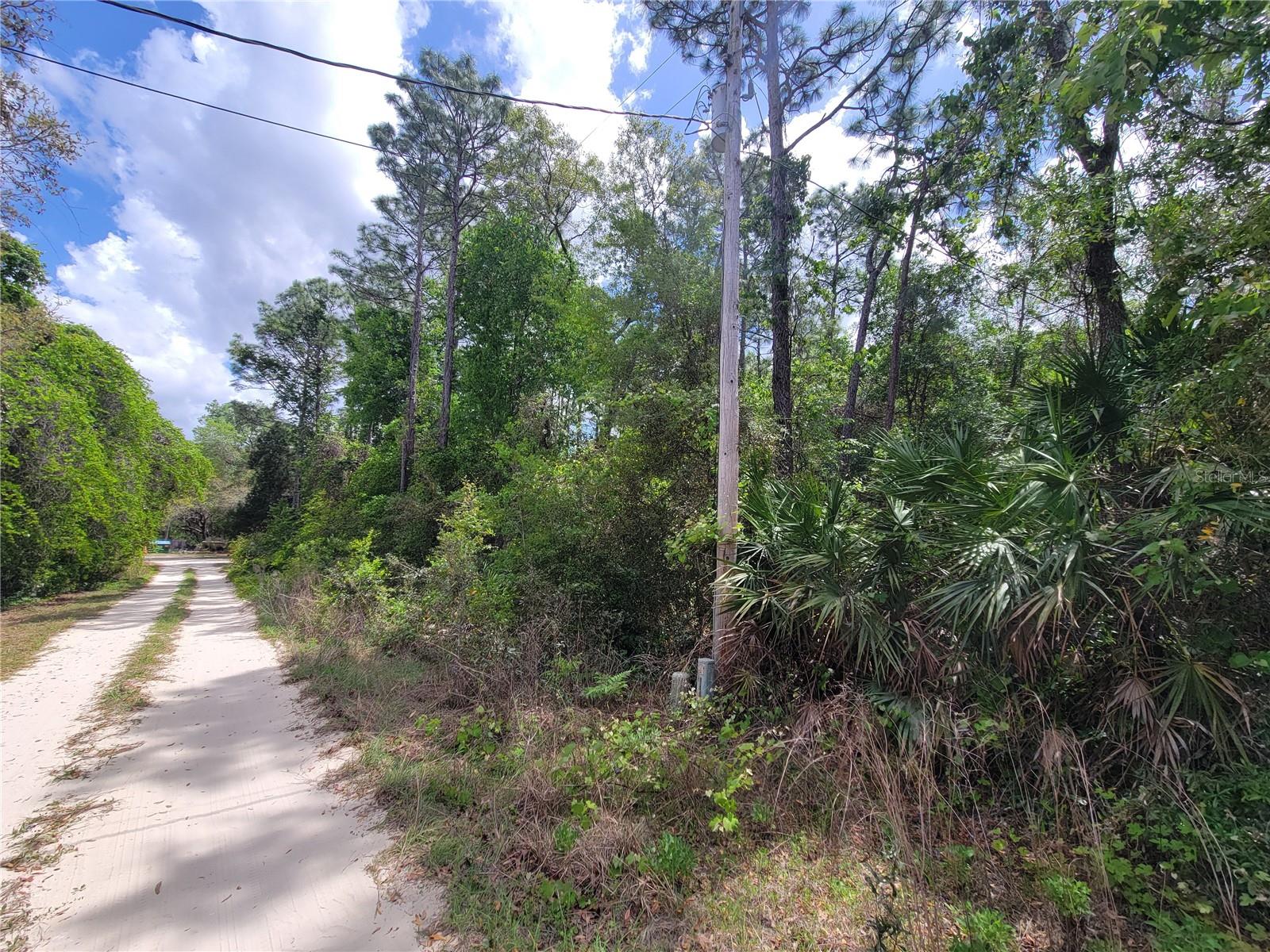 6685 W EUWELL CT, CRYSTAL RIVER, FL, 34429