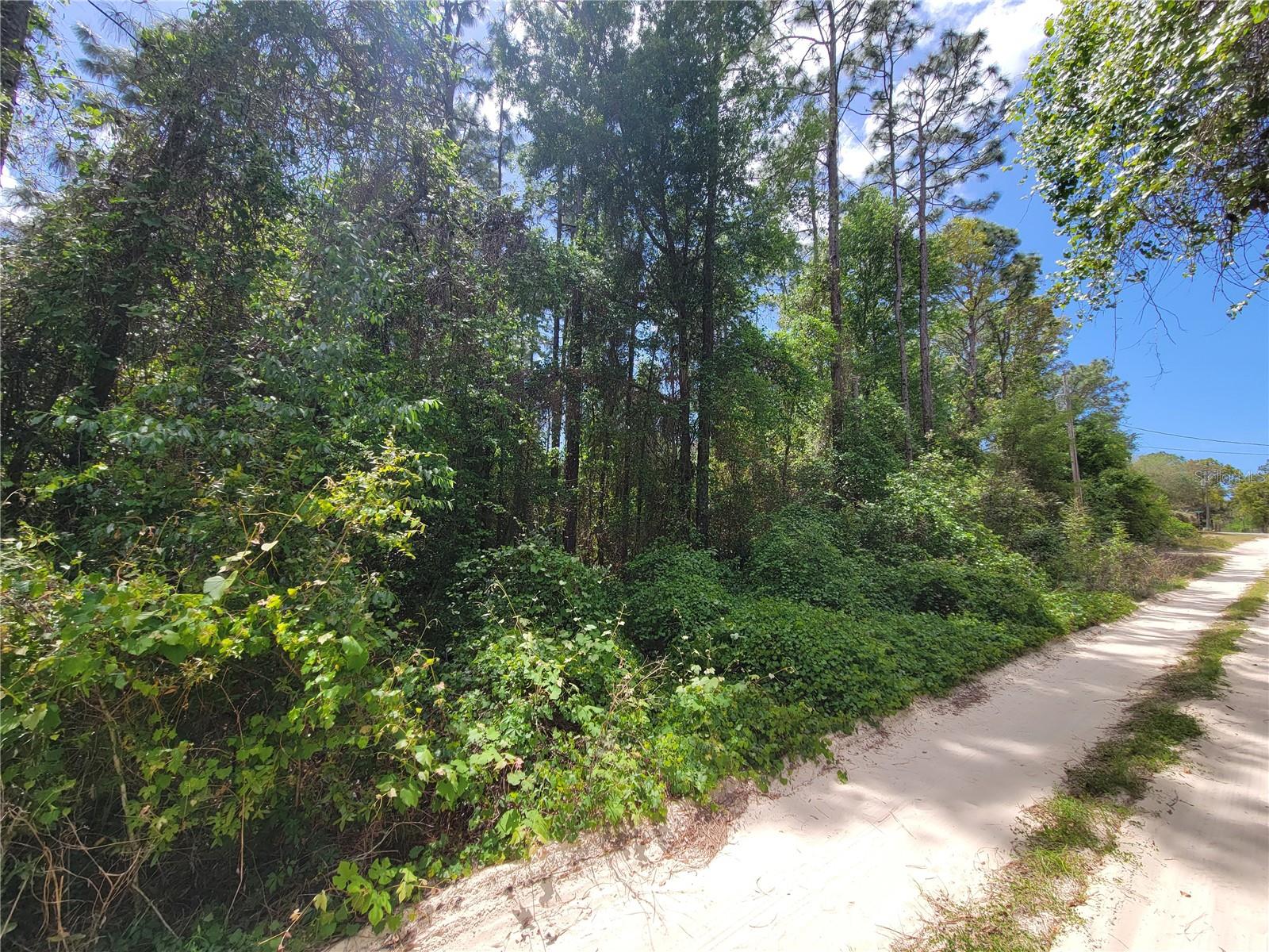 6685 W EUWELL CT, CRYSTAL RIVER, FL, 34429