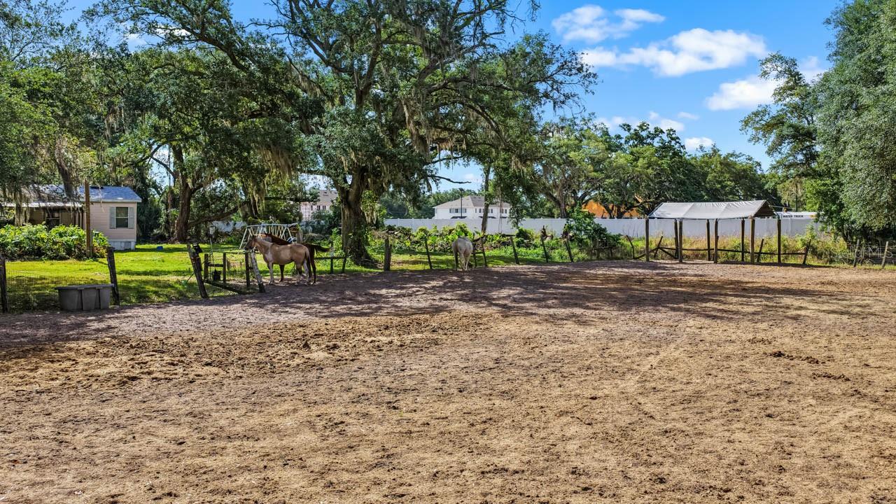 5614 WATSON, RIVERVIEW, FL, 33578